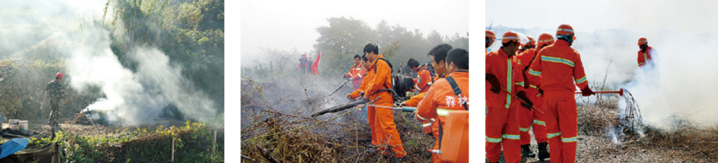 森林火灾监测报警系统