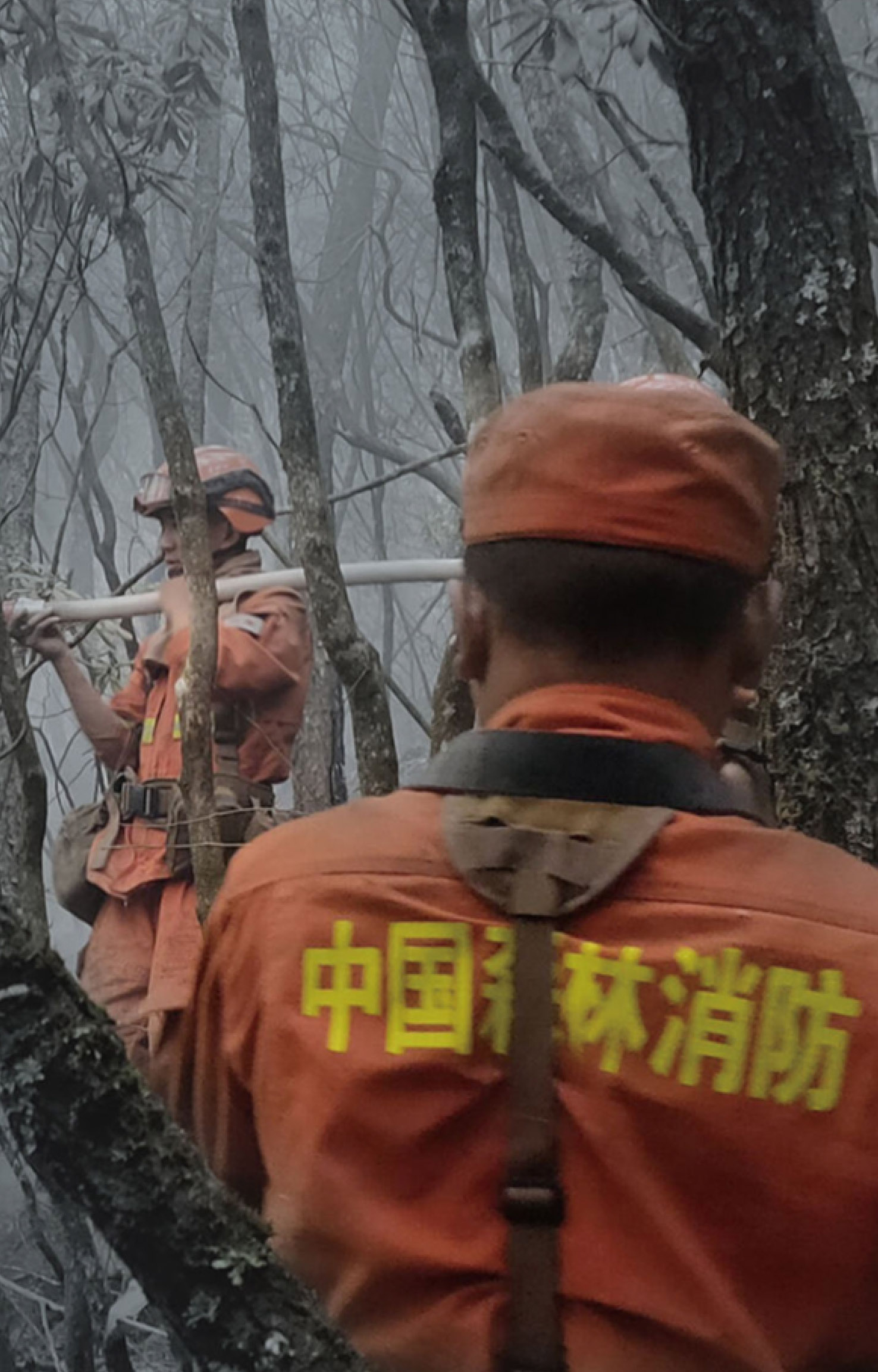公司简介图